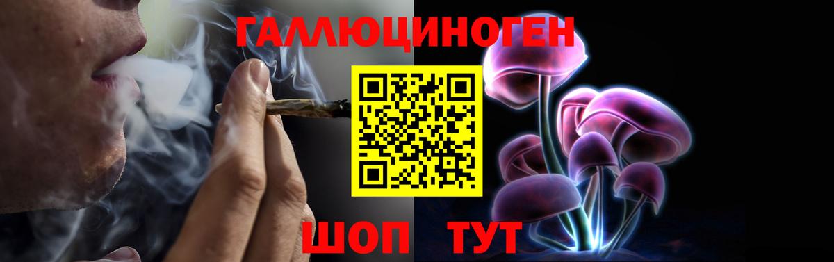 Галлюциногенные грибы Psilocybine cubensis Чернушка