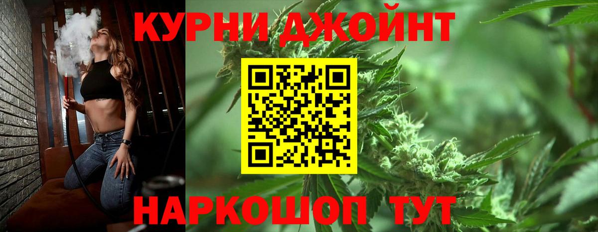 Конопля планчик Чернушка